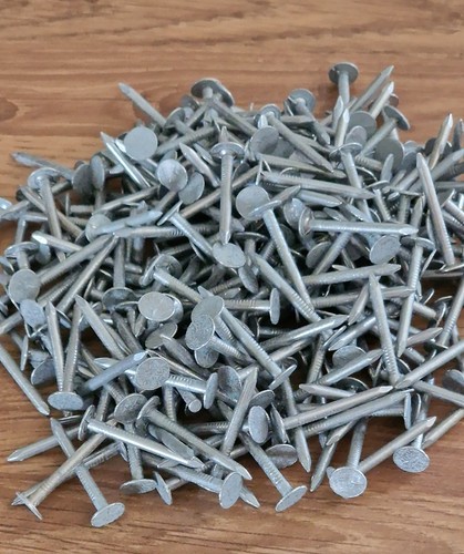 30mm clout nails extra large - extra,